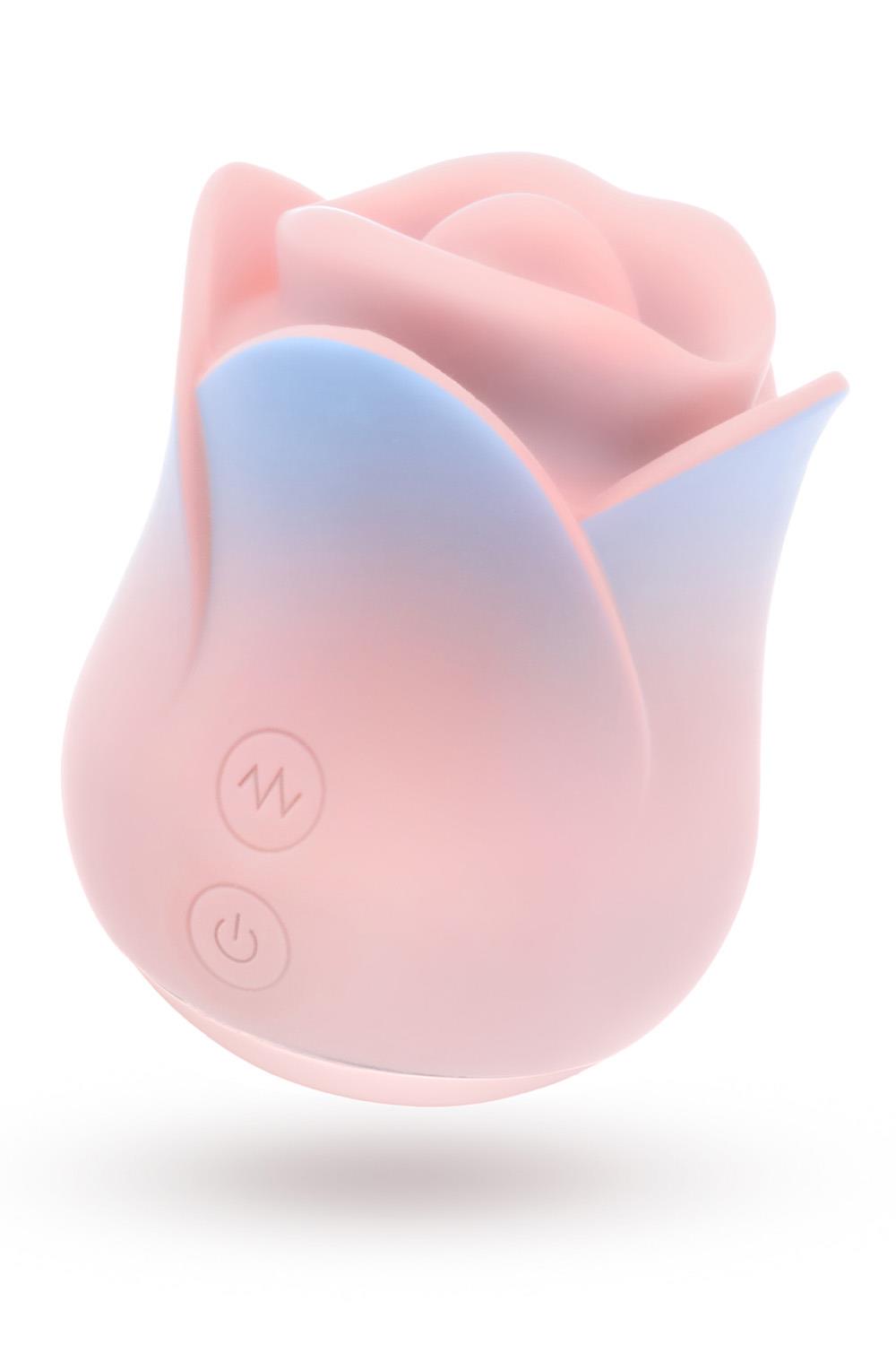 BLUSH COLLECTION KISSING ROSE PINK